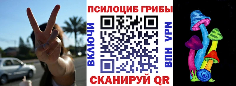 Купить  Балаково  Галлюциногенные грибы Cubensis 
